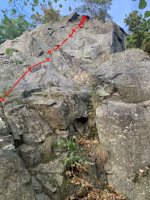 Brčola