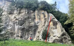 Arista vista