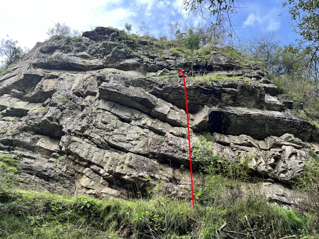 Urso Fozi