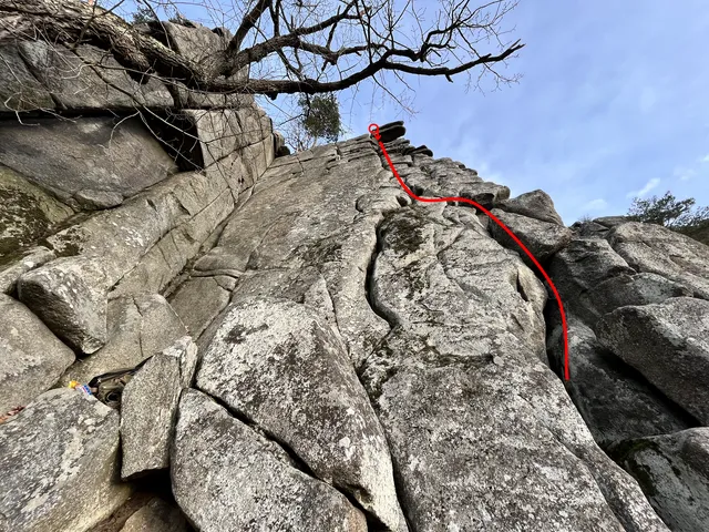 Pila