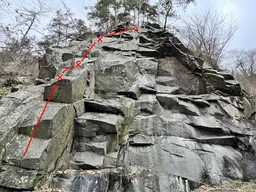 Rákosníček