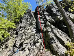Rajče
