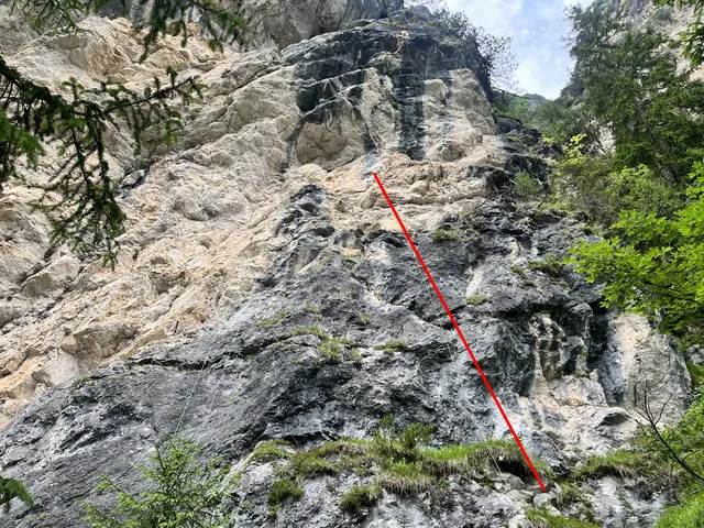 Spargeltarzan L1