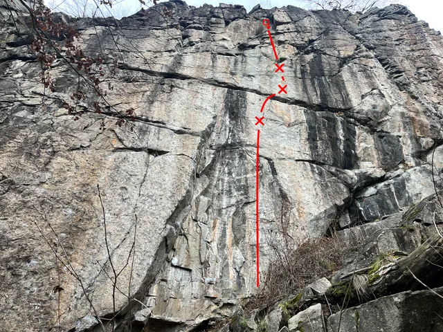 Přirozený výběr