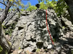 Stopařská
