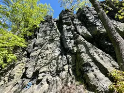 Hrana Zlatého oka
