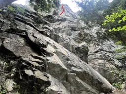 Pauls Träume L2
