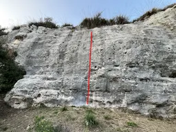 Truffaldon