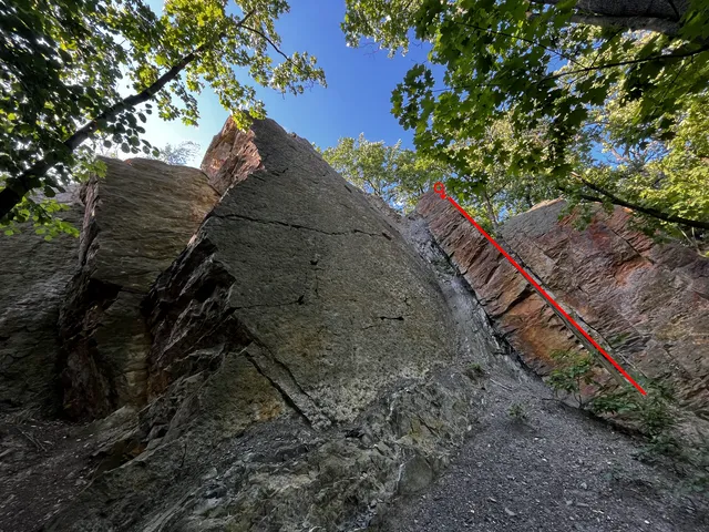 Medvědárium