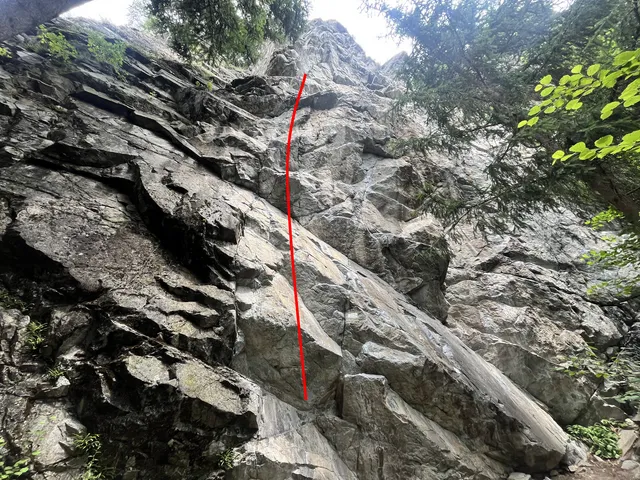 Pauls Träume L1