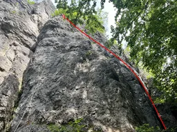 Sepukko