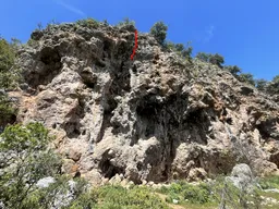 Nar bahçesi