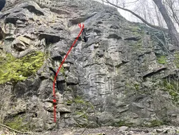 Frňákovník