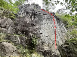 Falko