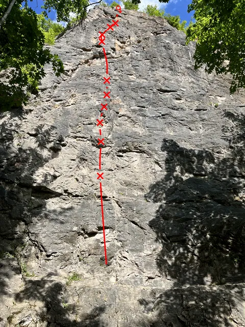 Poklice