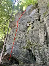 Kraftmeier
