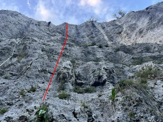 La straniera