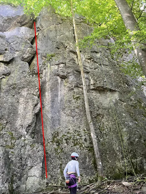 Jedermann (Breiter Riß)