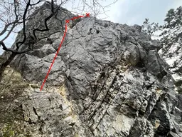 První krůčky