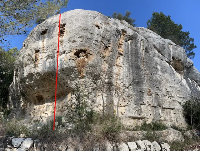 La vedova nera