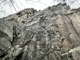 Revoluční