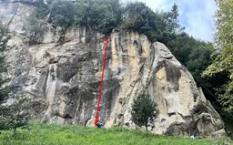 Apeta