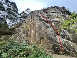 Bisigu L1