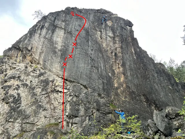 Houbařova cesta