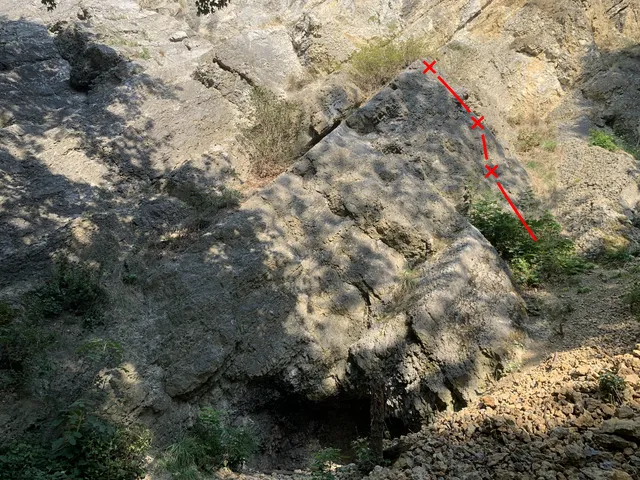 Oslík