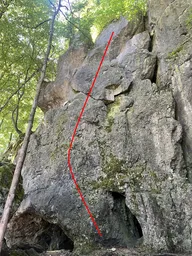 Schlaumeier