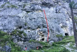 Quelli della