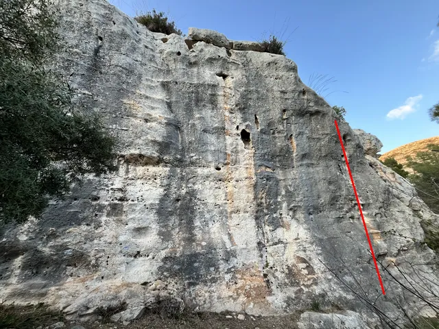 Sciaquata