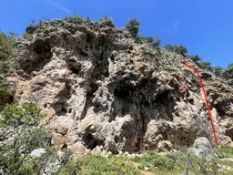 Akintiya karsi yüzmek