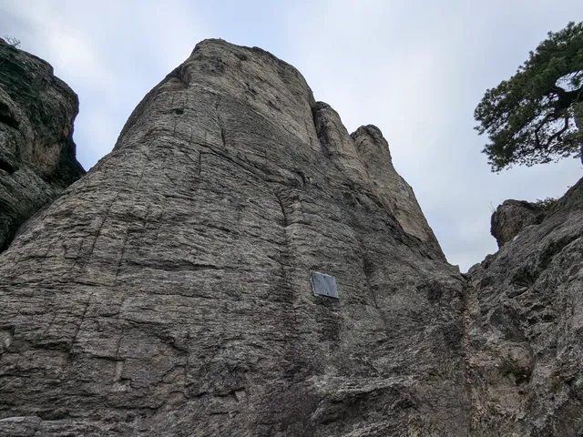 Narrenturm