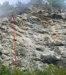 Bušta