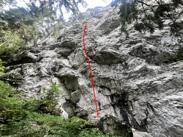 Mouling rouge