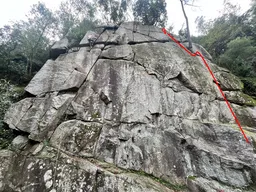 Seringador