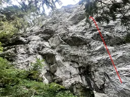 Bluitschinken
