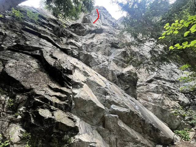 Pauls Träume L2