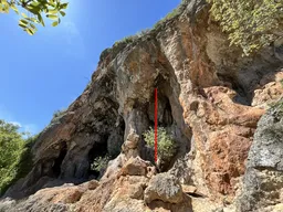 Babu bat