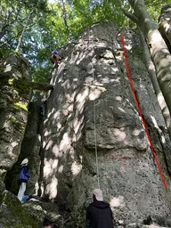 Schöner Riss