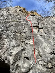 Zlatčiny veselé narozky