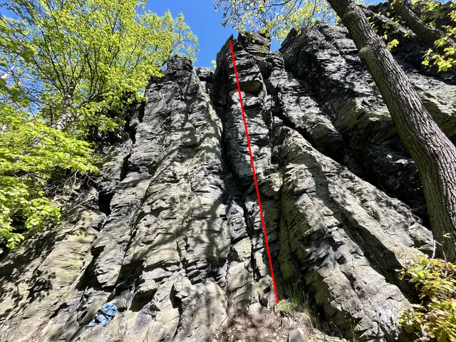Rajče