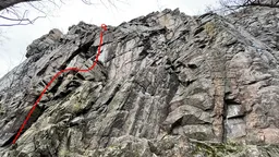 Laštovičník