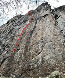 Kyselej déšť