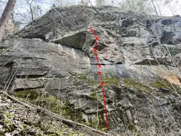 Slepecká