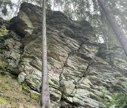 Zvědavý invalida