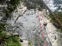 Reine Welt L1