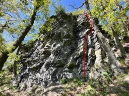 Prvnička