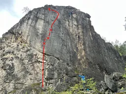 Houbařova cesta